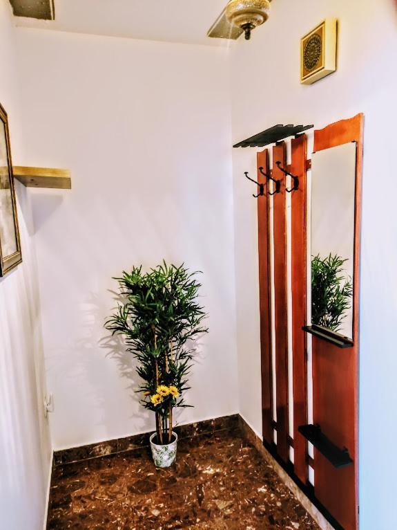 Apartmani Mila A1 & A2 & 3 Trogir Exteriör bild